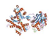 2a42: Actin-DNAse I Complex