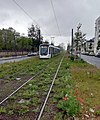 Plateforme herbeuse avec coquelicots le long du cimetière parisien d'Ivry.