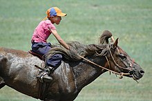 Gros plan sur un petit cheval en plein galop monté par un enfant.