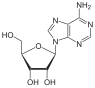 Estructura química de adenosina