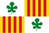 Flag of Figueres