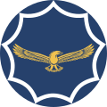 South African Air Force