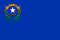 Flagge Nevada