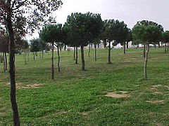 Parque G-4