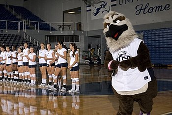 Description de l'image UNF volleyball and Ozzie.jpg.