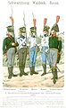 Schwarzburg. Waldeck. Reuss. 6. Rheinbund-Regiment. 1812