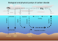 Image 19Air-sea exchange of CO2 (from Carbon dioxide in Earth's atmosphere)