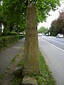 Historischer Meilenstein in Bielefeld-Ummeln, Nordrhein-Westfalen