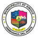 Official seal of Sibuco