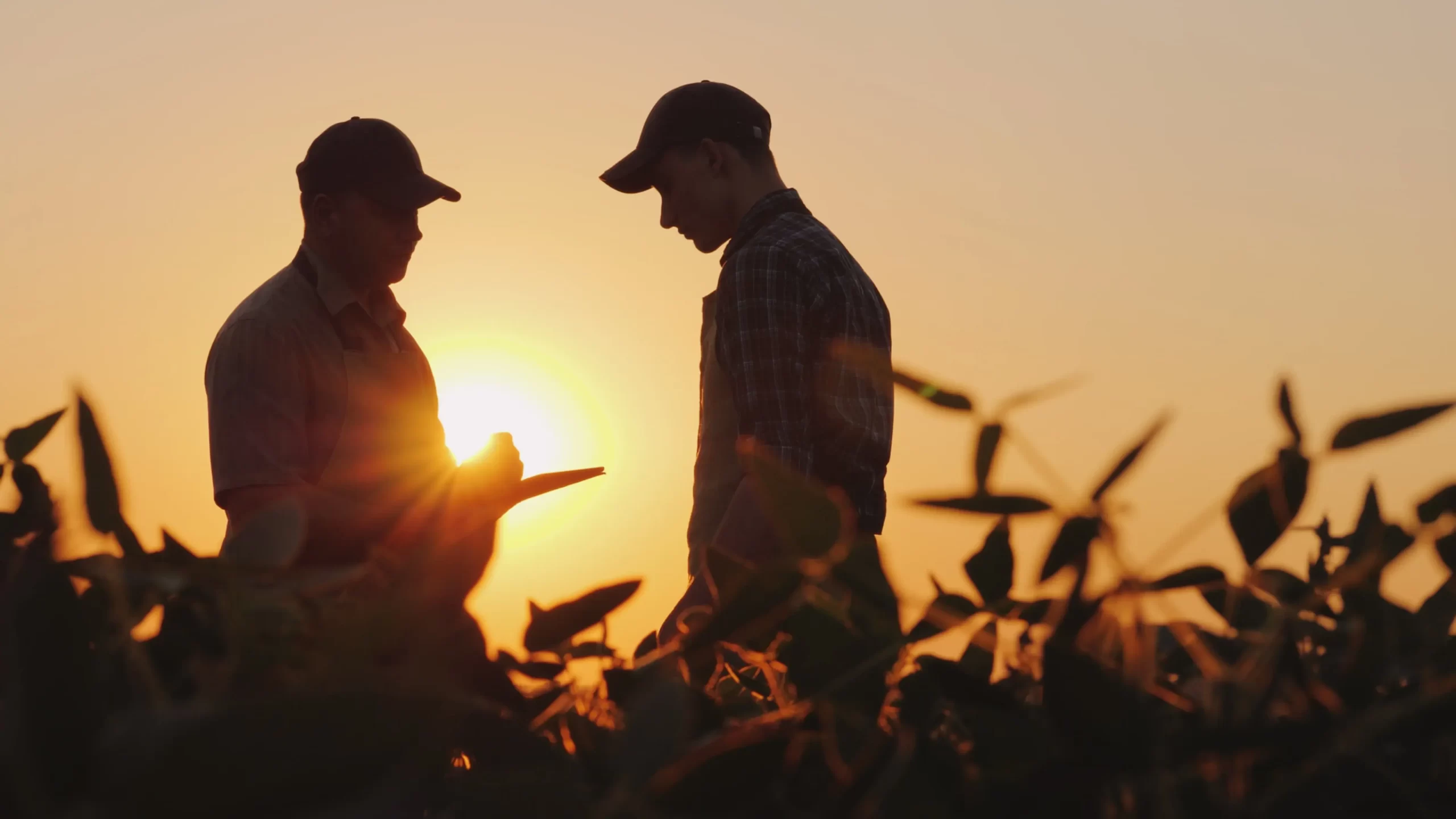 farmers standing in a field