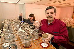 Soil scientist and technician measure water-holding characteristics of soil using pressure cells: Click here for full photo caption.