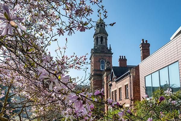 Top of the School of English building and some flowers against a blue sky