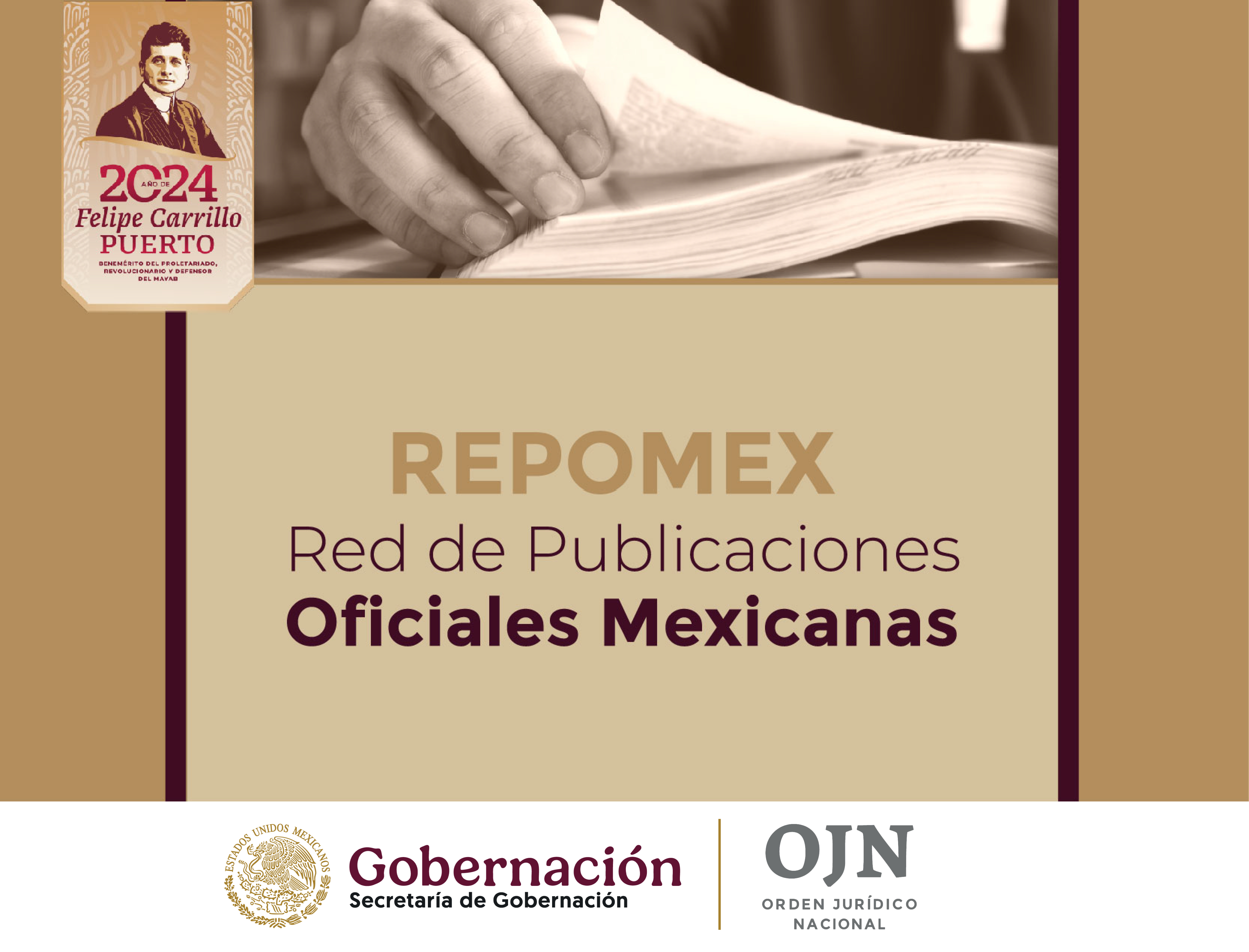 REPOMEX