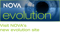 Visit NOVA's new evolution site