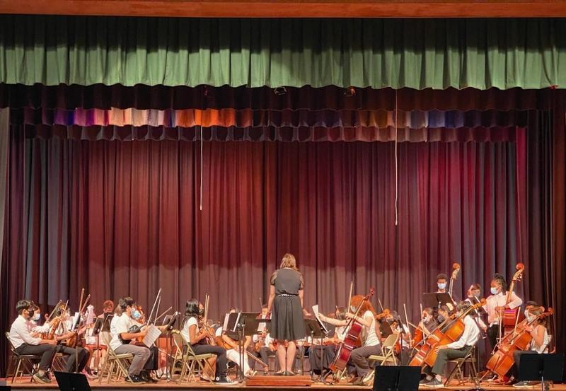 Orchestra performance