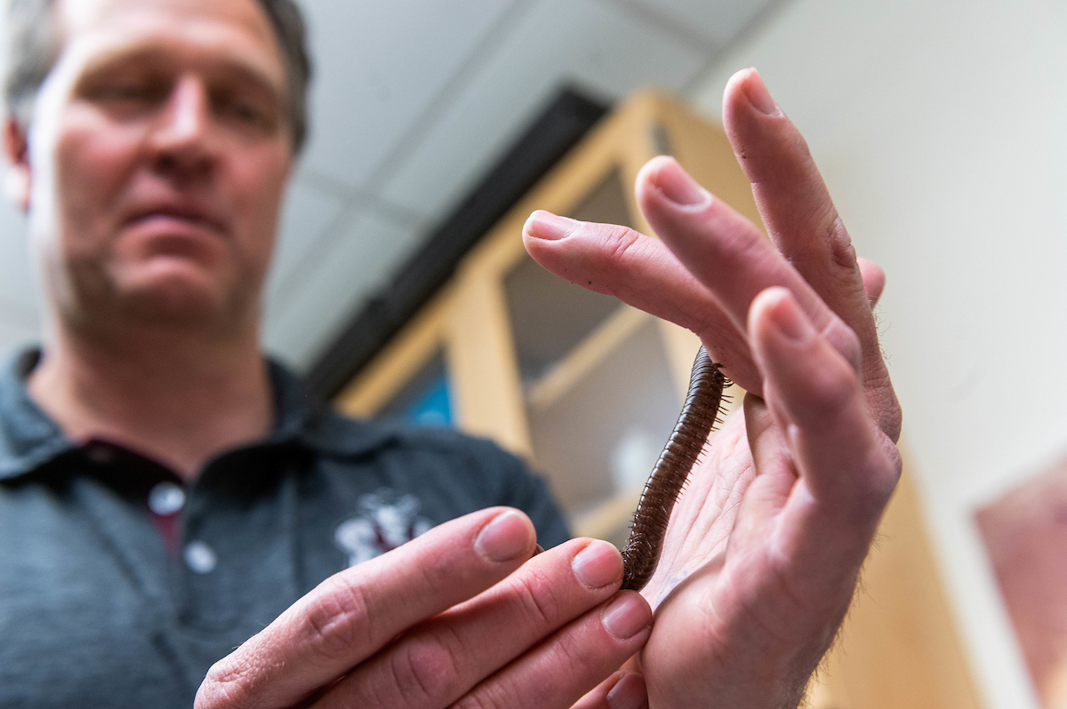 Man holding millipede