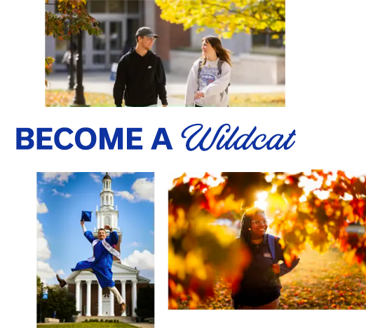 Become a Wildcat