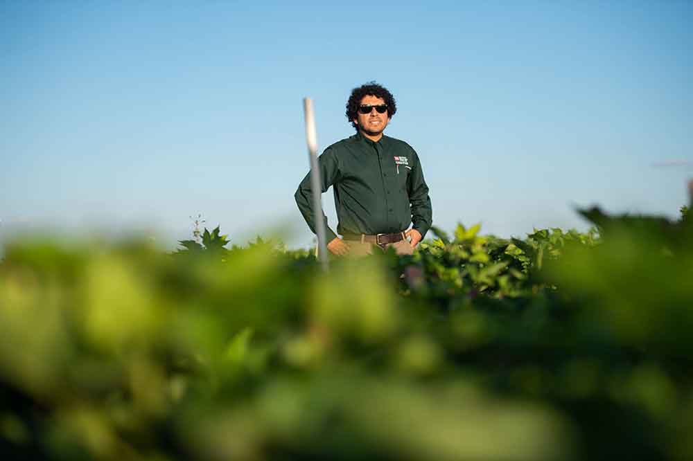 Worker in the field