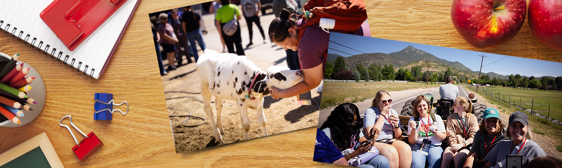 top-down view of desk with pictures of teachers feeding a calf and at a conference