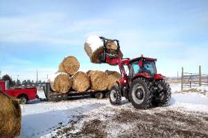 hay bales