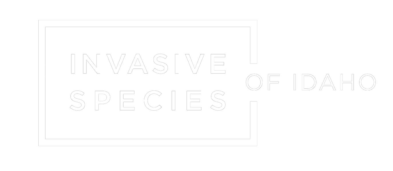 Idaho Invasive Species logo