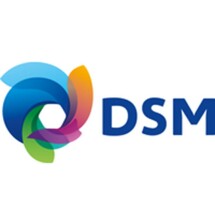 DSM