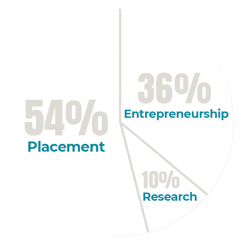 SAEs Work Experience Pie Chart