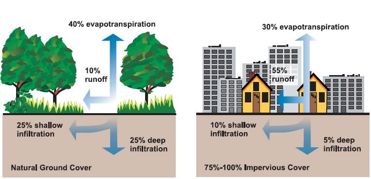 stormwater diagram