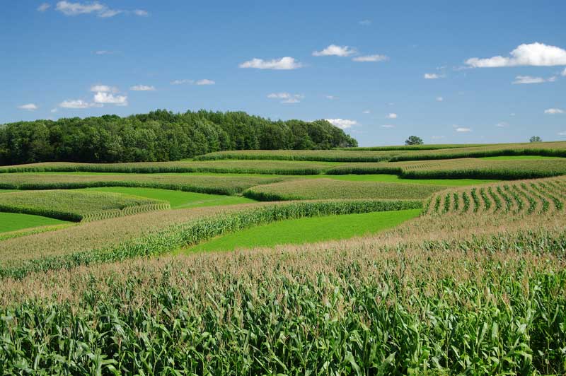 Better Runoff Management with Prairie Strips