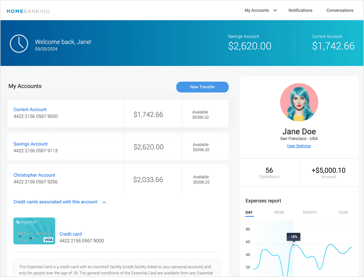 dashboard examples home banking