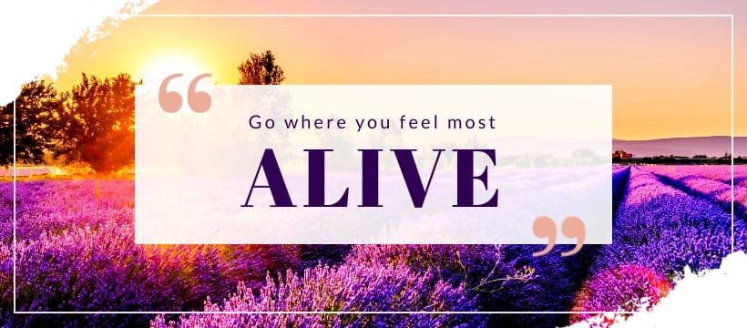 Alive Facebook Page Template