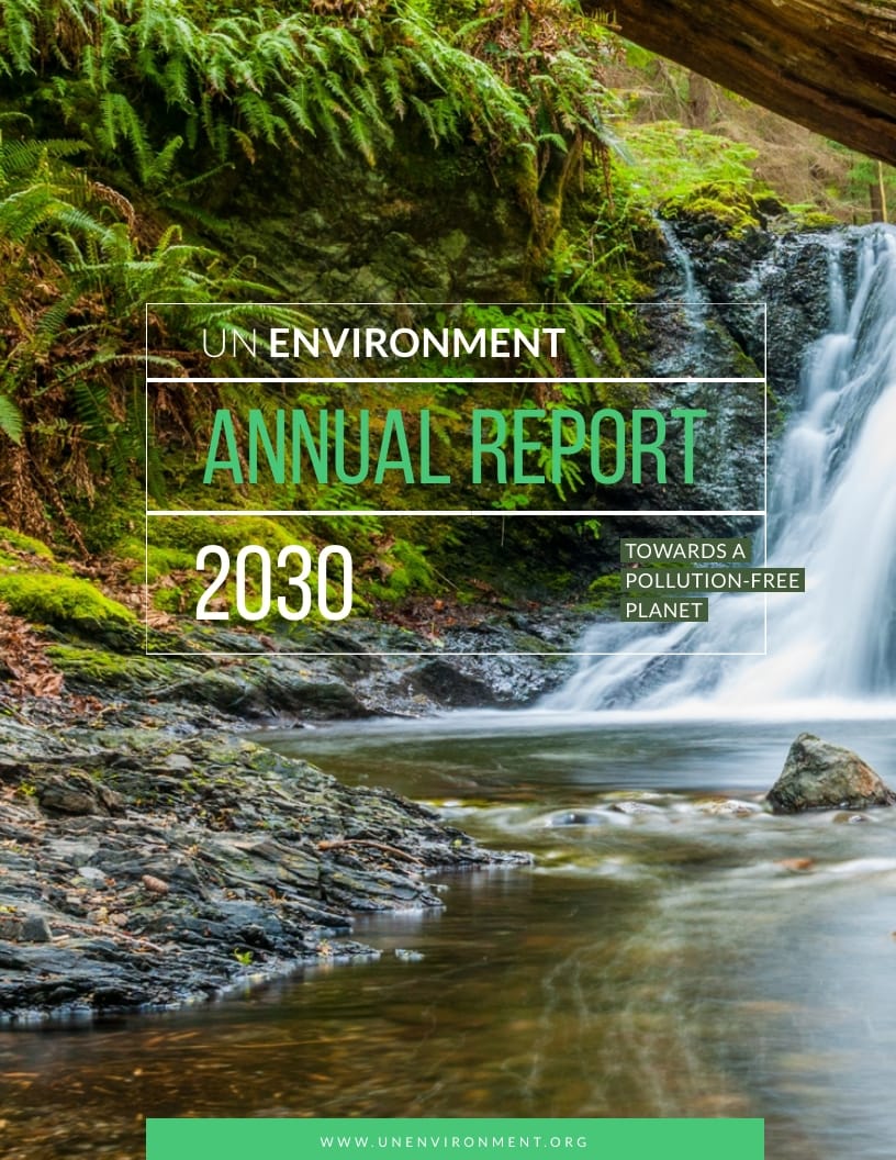 UN Environment Annual Report Template