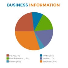 Business Information Pie Chart Template