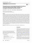 Research paper thumbnail of Damage phenomenon and petrophysical properties of sandstones at the Phnom Bakheng Temple (Angkor, Cambodia): first investigations and possible conservation measures