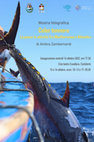 Research paper thumbnail of Calar tonnara. La pesca in attività fra Mediterraneo e Atlantico