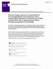 Research paper thumbnail of Reactive oxygen species are responsible for the cell aggregation and production of pro-inflammatory mediators in phorbol ester (PMA)-treated U937 cells on gelatin-coated dishes through upregulation of autophagy