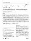 Research paper thumbnail of Type I collagen-induced YAP nuclear expression promotes primary cilia growth and contributes to cell migration in confluent mouse embryo fibroblast 3T3-L1 cells