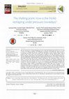 Research paper thumbnail of The Melting point: How is the World reshaping under pressure nowadays?