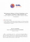 Research paper thumbnail of Heterogeneous Influence of Glacier Morphology on the Mass Balance Variability in High Mountain Asia