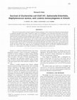 Research paper thumbnail of Survival of Escherichia coli O157:H7, Salmonella Enteritidis, Staphylococcus aureus, and Listeria monocytogenes in Kimchi