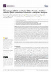 Research paper thumbnail of Macrophages CD163+ and Factor XIIIa+ Provide a First-Line Defence against Proliferative Verrucous Leukoplakia Antigens