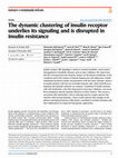 Research paper thumbnail of The dynamic clustering of insulin receptor underlies its signaling and is disrupted in insulin resistance