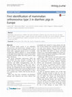 Research paper thumbnail of First identification of mammalian orthoreovirus type 3 in diarrheic pigs in Europe