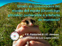 Research paper thumbnail of Estado de conservación del monito del monte (Dromiciops gliroides Thomas, 1894): ¿vulnerable o artefacto de muestreo?