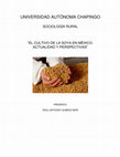 Research paper thumbnail of La producción de soya en México