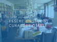 Research paper thumbnail of Le dieci cose ( necessarie ) per essere un (buon ) curatore d'arte contemporanea / pdf illustrato / note di altri curatori.