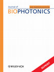 Research paper thumbnail of An in vitro study of the photodynamic effect of rose bengal on trichophyton rubrum