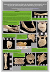 Research paper thumbnail of INTRODUCCIÓN EVALUACIÓN PALEOPATOLÓGICA DE UN OSARIO PROCEDENTE DE LA IGLESIA DE SANTA MARIA (MAÓ, MENORCA) (SS. XVIII-XIX