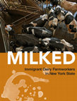 Research paper thumbnail of MILKED Immigrant Dairy Farmworkers in New York State