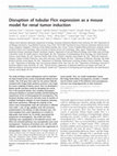 Research paper thumbnail of Disruption of tubular Flcn expression as a mouse model for renal tumor induction